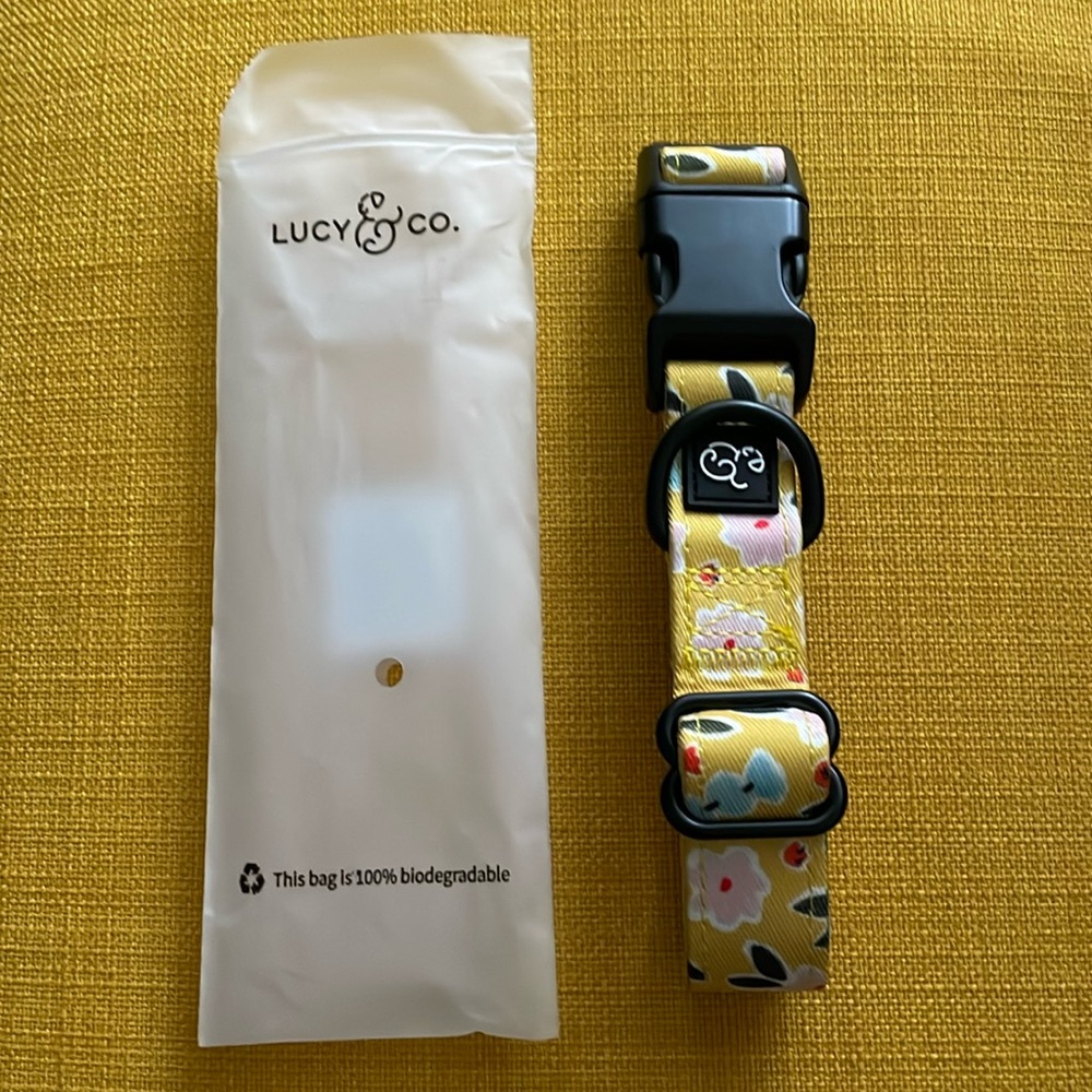 Lucy & Co Little Lamb collar